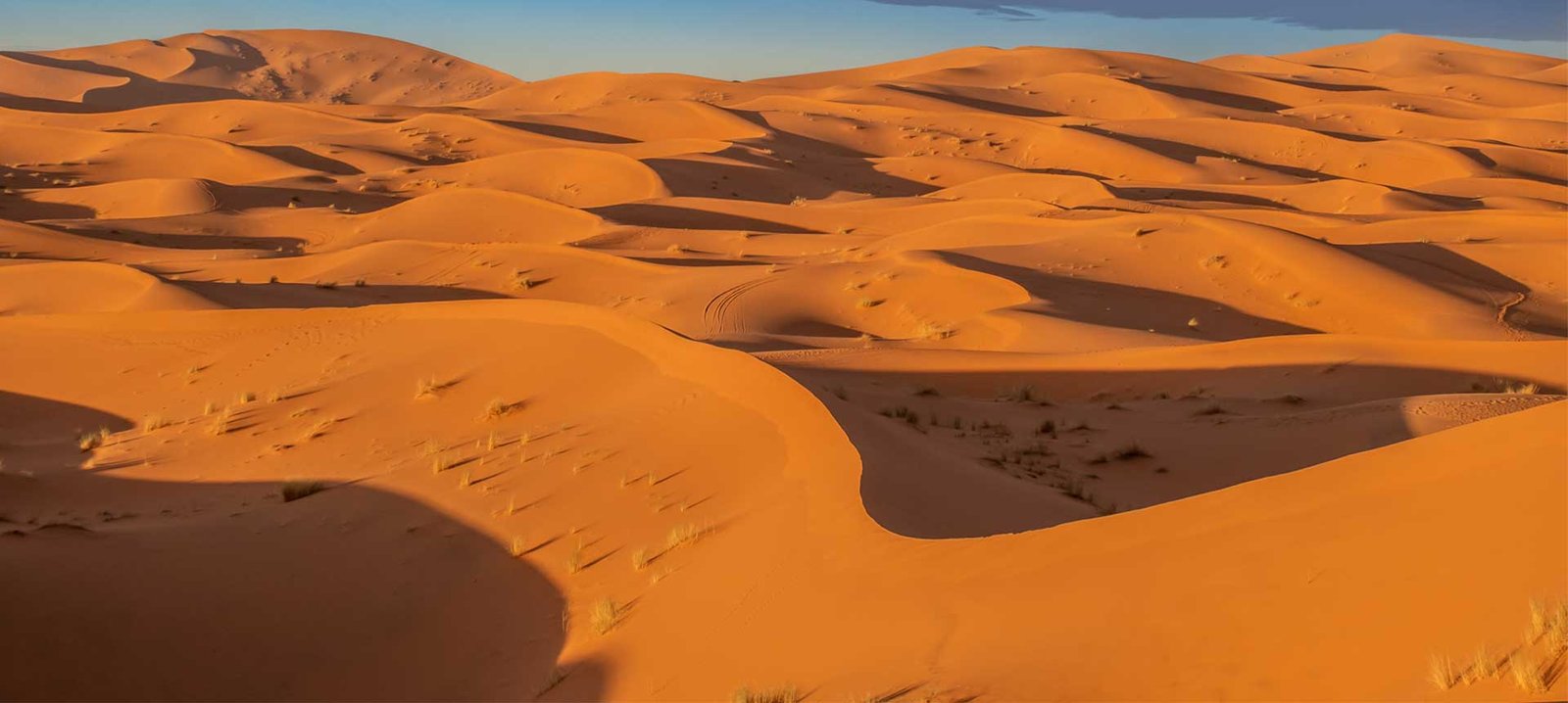 Morocco Solo <br class='lg:d-none'> Travel